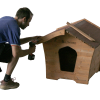 montaggio cuccia per in legno cornci tetto