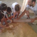 I bambini del laboratorio didattico giocano con la segatura che stata prodotta con la lavorazione delle tavole.