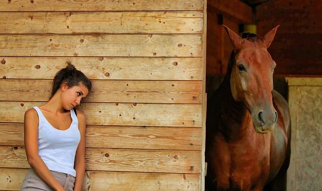 Frustino Da Equitazione In Vera Pelle Per Cavalli - 48 Cm Con Manico In Legno Antiscivolo - Comodo, Durevole E Leggero